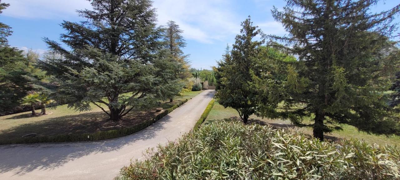 Villa Liberty Entraigues-sur-la-Sorgue Exterior photo